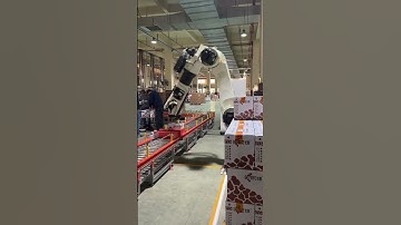 Robotic arm Palletizing