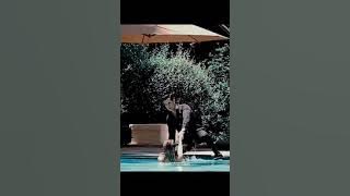 David Zepeda Y Aracely Arambula mejores  momentos fuerra de pantalla ❤❤❤😍