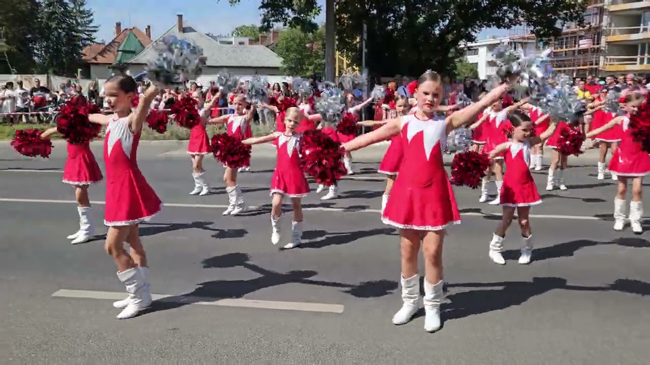 Virágkarnevál 2024 - DME  karneváli felvonulás 1