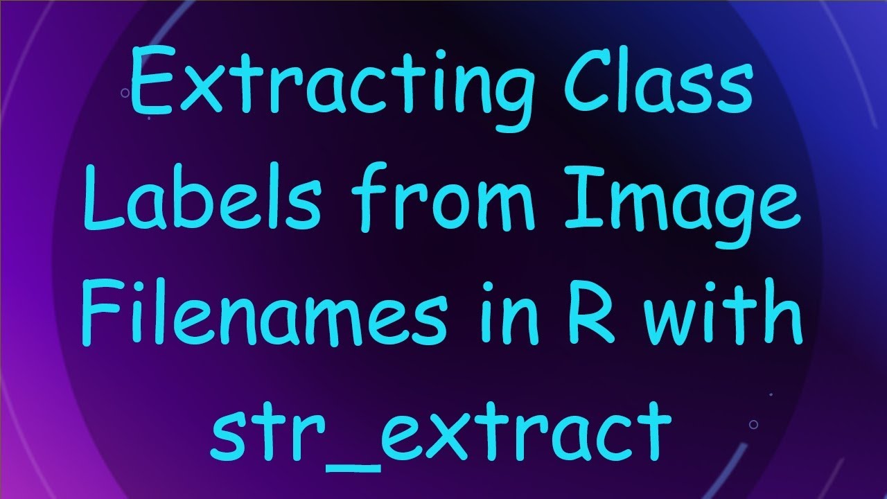 Extracting Class Labels from Image Filenames in R with str_extract