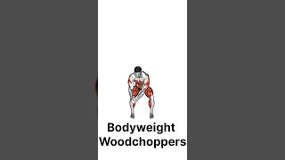 Bodyweight Woodchoppers ExerciseforStrong AbsBodyweight Woodchoppers for Six Pack Abc#shots #fitness