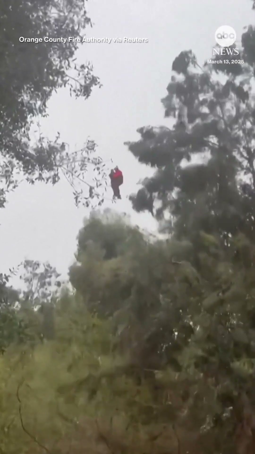 Southern California driver rescued from fast-moving creek