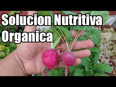 Como preparar solución