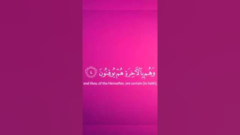 القرآن الكريم #راحة نفسية #تلاوة جديدة #راحة نفسية #عبدالرحمن_مسعد_تلاوة_جديدة #عبدالرحمن_مسعد