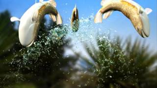 The Ripple Effect trailer