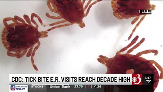 Tick bite hospital visits spike to decade high, CDC says