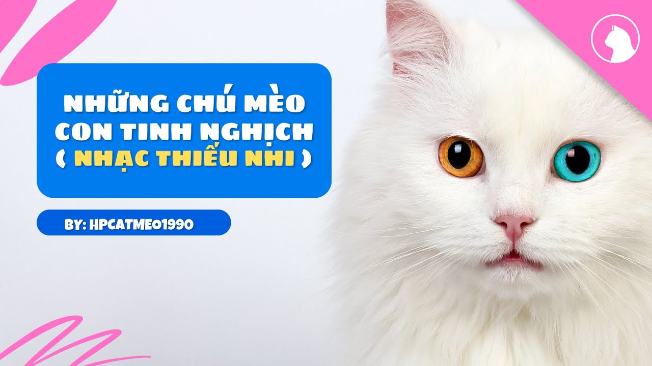 MÈO CON TINH NGHỊCH ( NHẠC THIẾU NHI) - YouTube