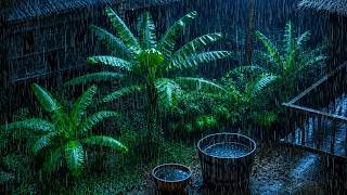 Asmr Best Rain Sounds Forest For Heal Insomnia | 99% Instantly Fall Asleep With Rain And Thunder