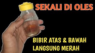Cara Memerahkan Bibir Dengan Cepat Dan Alami Menggunakan Madu