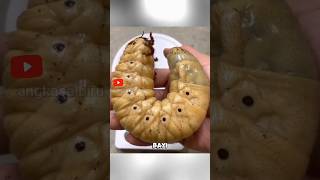 Larva Raksasa Kumbang Hercules, Raksasa di Dunia Serangga! #faktahewan #kumbang  #shortsviral