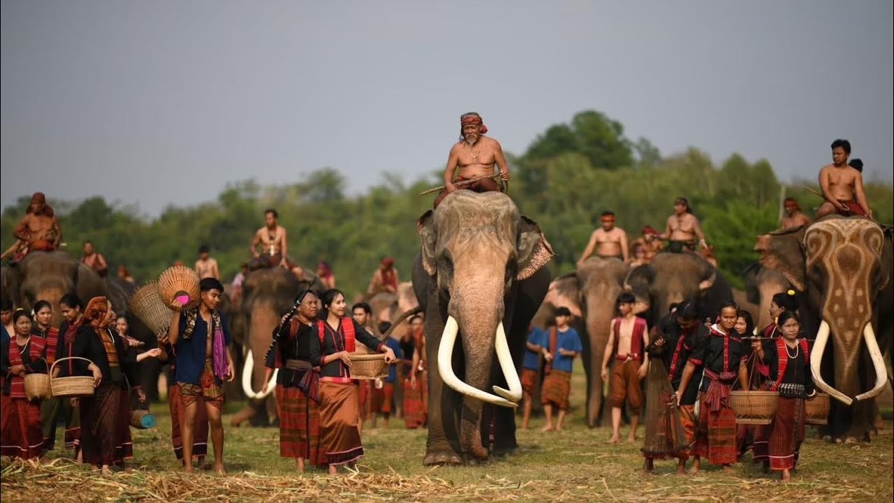 ความเป็นมา.ของคชอาณาจักรสุรินทร์ (พากย์ภาษากวย/กูย)โดยคุณปู่เหมา ทรัพย์มาก(เจ้าของช้างพลายหนุ่มเสก)