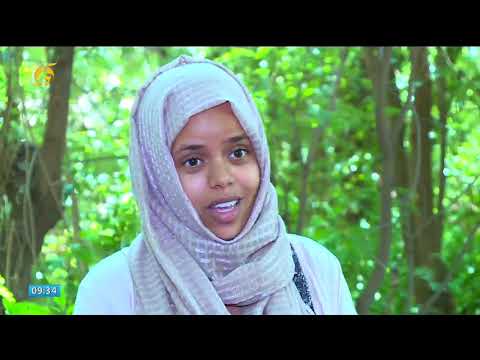 ቪዲዮ: የክረምት ተከላ ሀሳቦች - የበዓል ትሪለር መሙያ አተያይ ዝግጅቶች