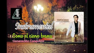 Miniatura de "Como el ciervo brama - GENERACIÓN CONQUISTA Adoración Instrumental + Letra By Edwin Aruquipa"