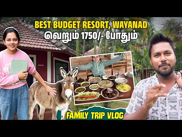 Budget-ல Sunbird garden resort🤩 | wayanad⛰️ | Anithasampath Vlogs class=