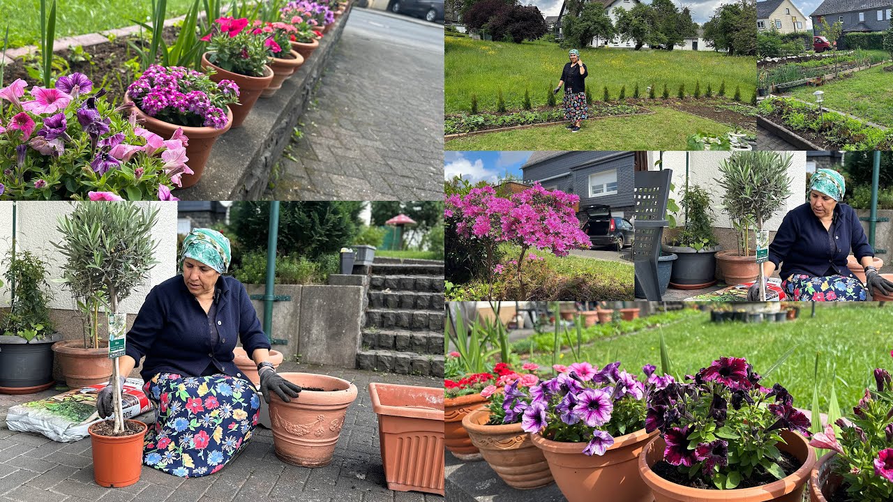 جولة في بيتي جديد وحديقتي الحلوة مع زراعه شجره الزيتون في الحوش كيف يقضي يومي ببيتي جديد تعالو شوفوا