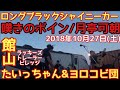 嘆きのボインの歌詞を変えずにロングブラックシャイニーカーを歌う♪たいっちゃん&ヨロコビ団