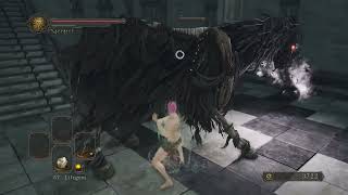 Challenge Run Dark Souls 2 Cont. Restricted Stats and Level (part 4)
