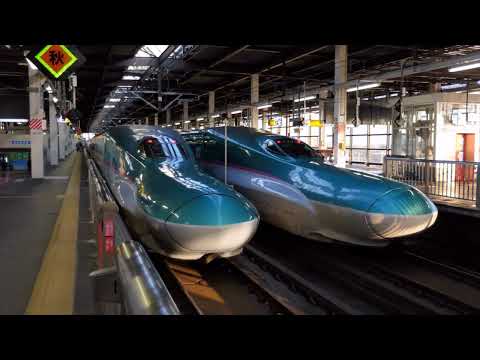 Bullet Train | Japan Trains | Tokyo to Osaka | Japanese Shinkansen