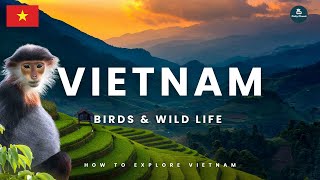 Vietnam's Wildlife: Monkeys & Birds Expedition