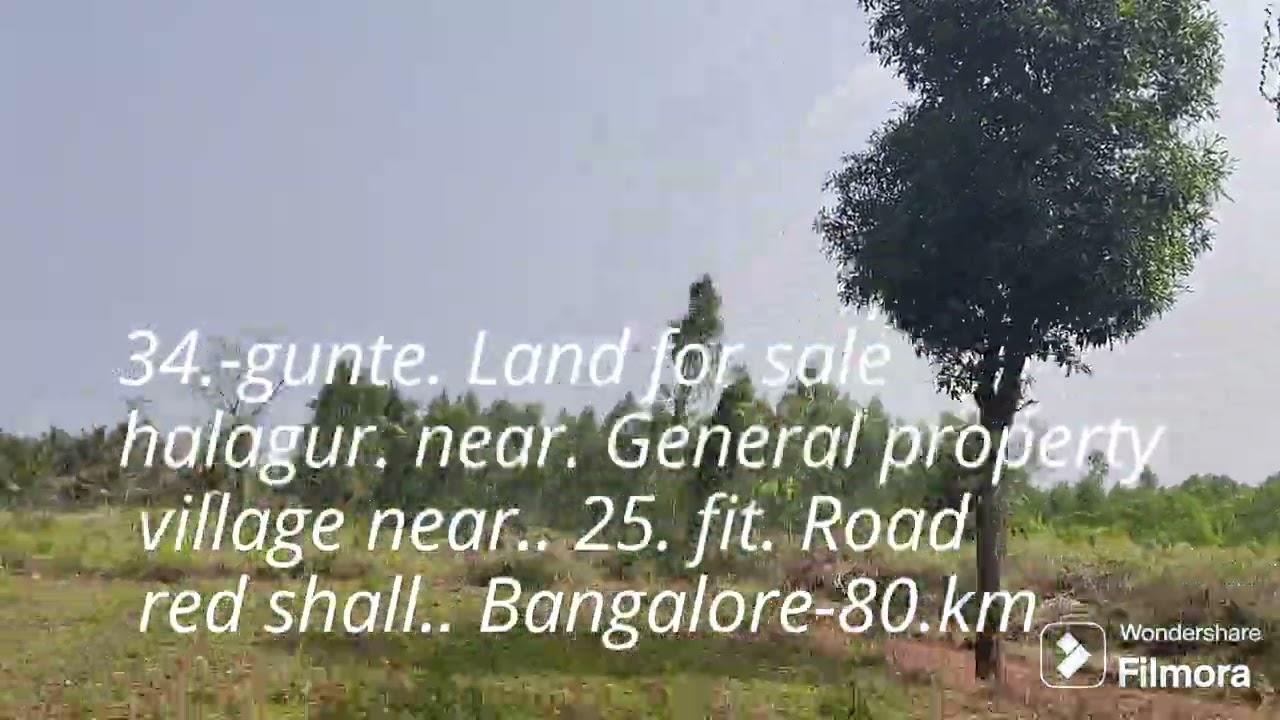 34-gunte- land for sale. halagur. near. General property -