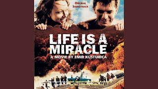 Wanted Man ('Life Is A Miracle' Original Soundtrack)