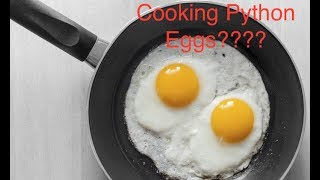 Cooking Python Eggs???