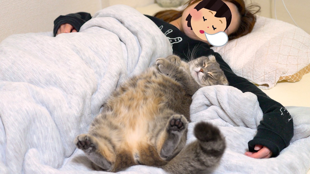 Wake up, Mom…” The cat came to cuddle beside her [Eng Sub] - YouTube