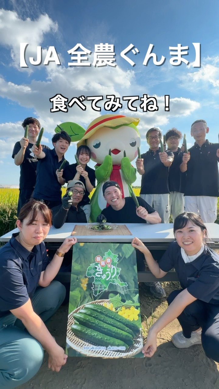 【無限きゅうり】ぐんまのキュウリで超絶簡単レシピ