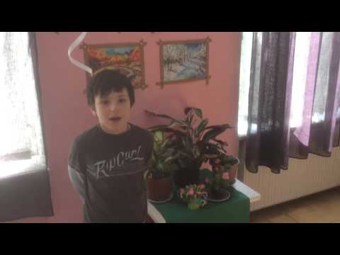 ნიკოლოზი