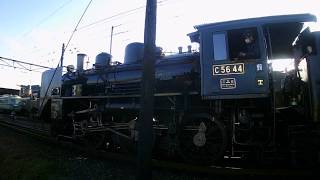 大井川鉄道 C56-44 SL 蒸気機関車 新金谷駅側線 入れ替え作業