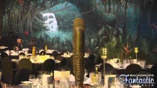 Backdrops in Action Part 2.wmv