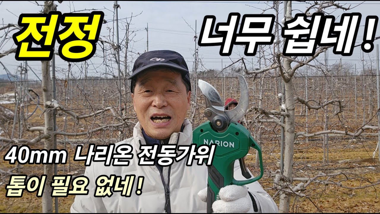 사과나무 수형에따라 전정하는 방법이 다르다 I 40mm 나리온 전동가위, 톱이 필요 없네!