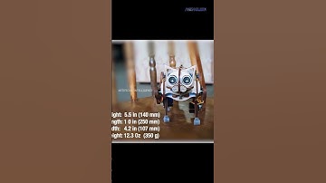 Learn Python Programming | Cat Robot | Artificial Intelligence