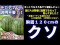 ゆっくりなろう系クソ漫画レビューRe:「遊び人は賢者に転職できるって知ってました？～勇者パーティを追放されたLv99道化師、【大賢者】になる～」