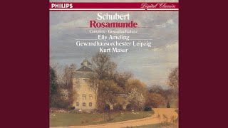 Schubert: Rosamunde, D. 797: Overture (Die Zauberharfe, D.644)