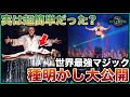 【種明かし】世界最高峰マジック8選の衝撃トリック!壁抜け・象出現・身体真っ二つ…実は超簡単だった【ネタバレ注意】