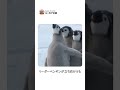 ヒーローはタキシードを着ているww
