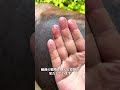 これらの動物たちの奇妙で風変わりな行動、あなたは何種類見たことがありますか？