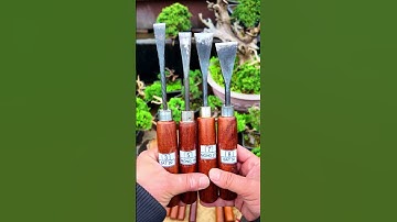 Bộ 4 mũi đục Cây cảnh #bonsaishop