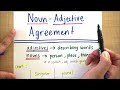 Spanish Grammar: Noun-Adjective Agreement Quiz