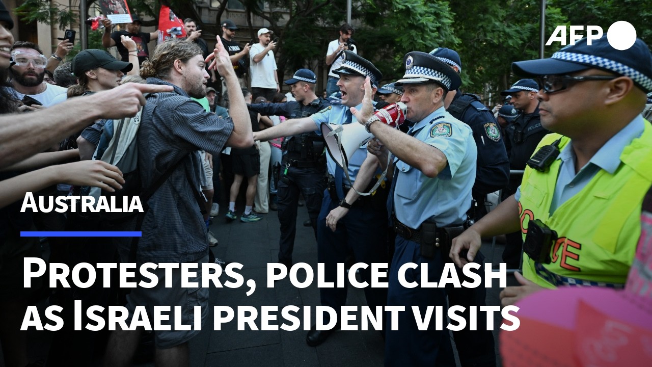 Protesters clash with police at pro-Palestinian protest | AFP