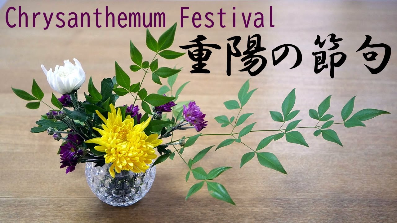 生け花 スーパーで買った菊を生ける Ikebana 南天 Chrysanthemum Chongyang Festival 重陽節 菊花 Chrysantheme Hrizantema 국화 花瓶 Youtube
