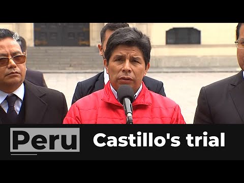 Peru's President Pedro Castillo in court over criminal charges