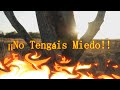23 /¡¡ NO TENGAIS MIEDO !! /   Anthony de Mello.