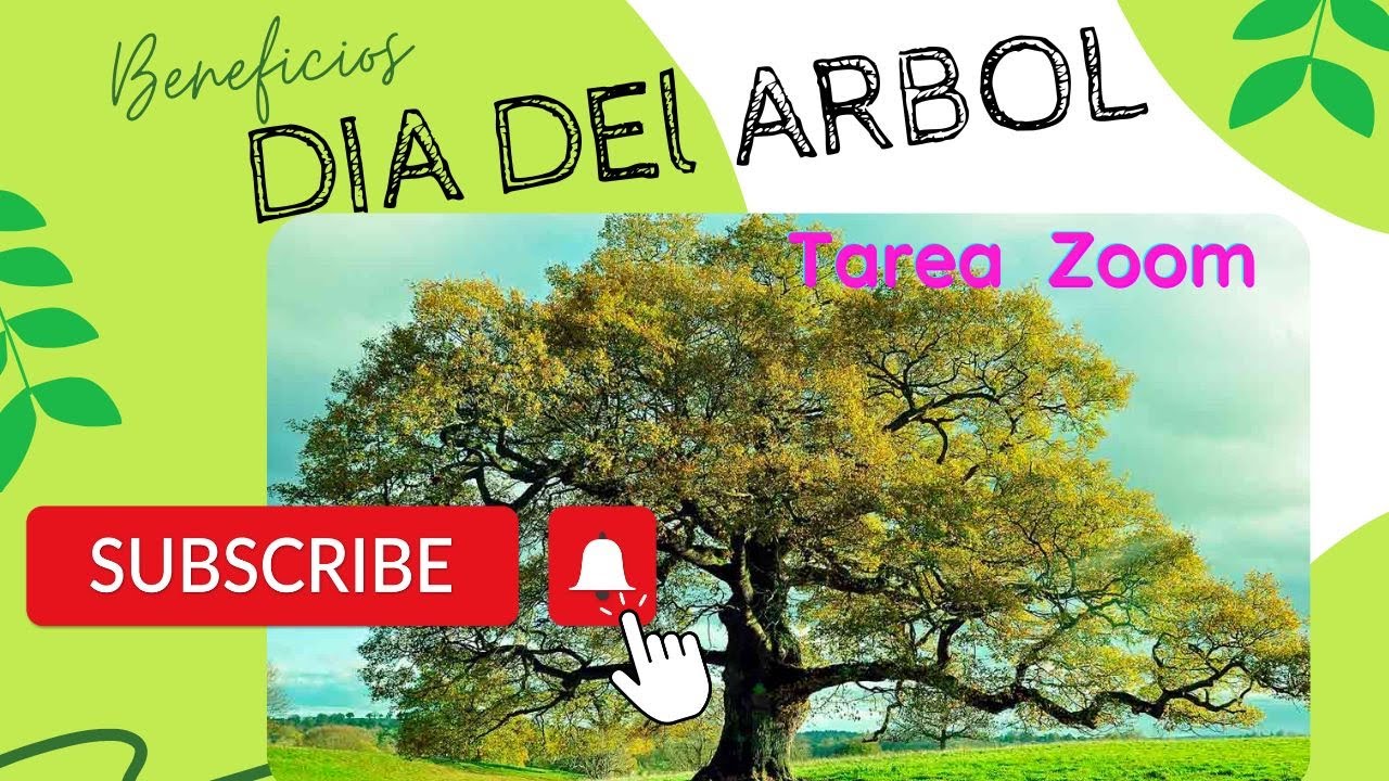 ?Frases ecología Dia mundial del arbol beneficios de arboles Frases para  cuidar el medio ambiente - YouTube