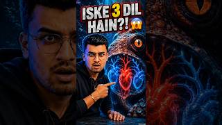 Octopus Ke 3 Hearts Kyun Hote Hain? ❤️🐙