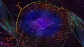 Techninature Official Video Dude The Obscure