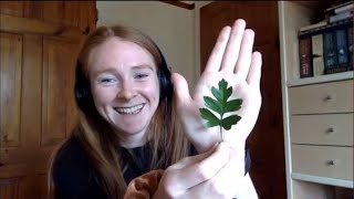 Lockdown Webinar Series: Trees - ID & Lifecycle