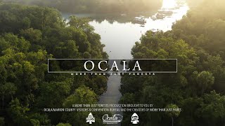 OCALA National Forest 8K Florida (Visually Stunning 3min Tour)