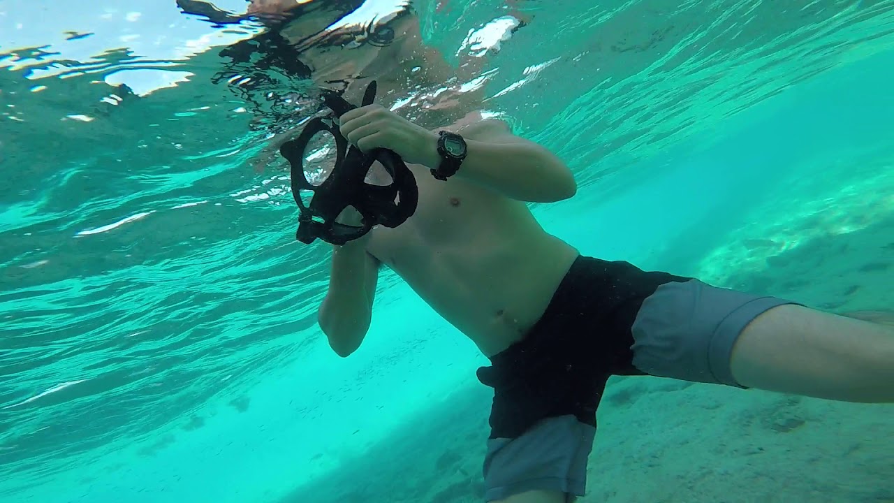 Snorkeling Alligator Reef in Islamorada! YouTube